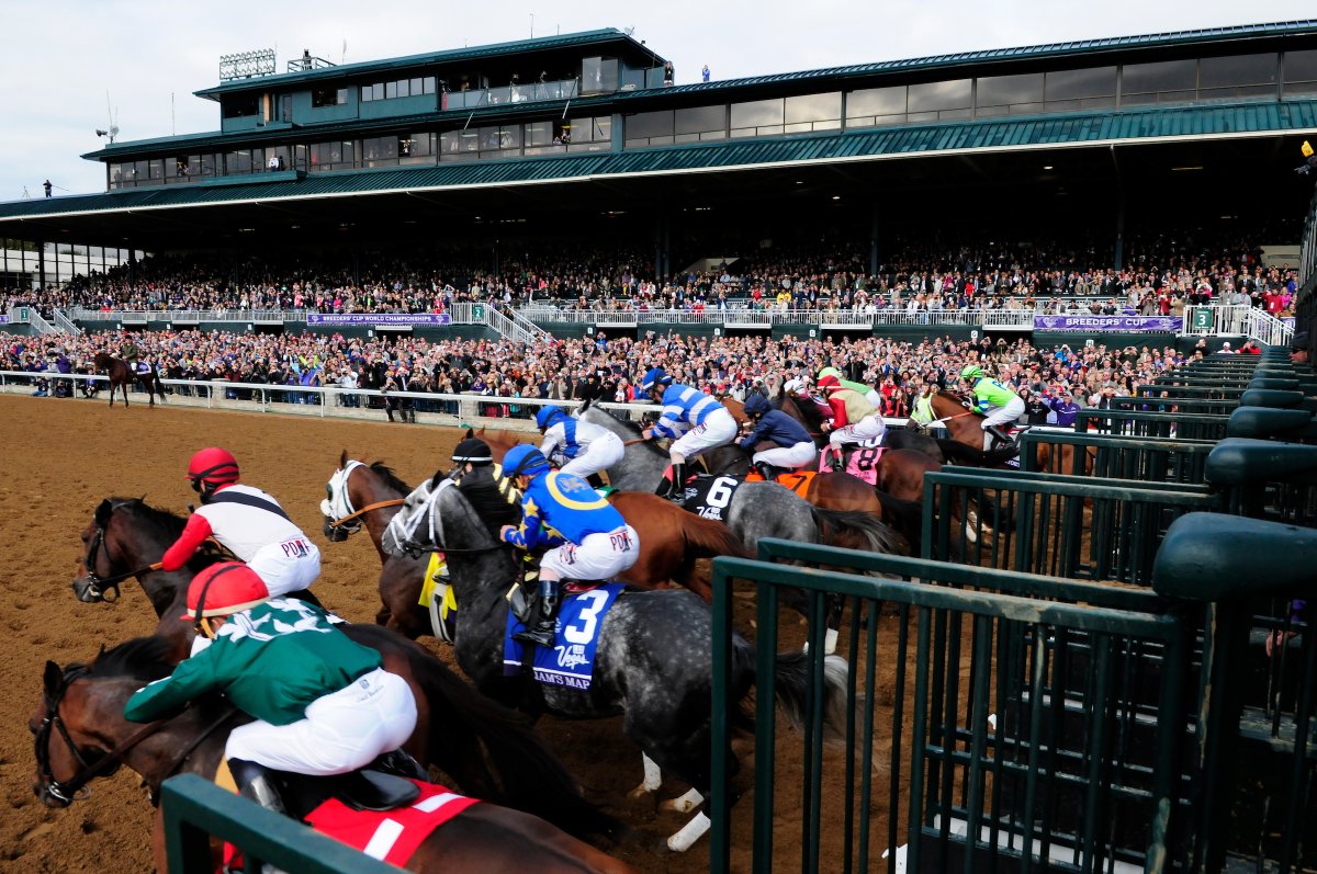 BreedersCup's tweet photo. We can almost hear the roar of the #BreedersCup crowd! 😍
#BC15 #BC22
📸: @EclipseSports https://t.co/vpcnYyPAp8