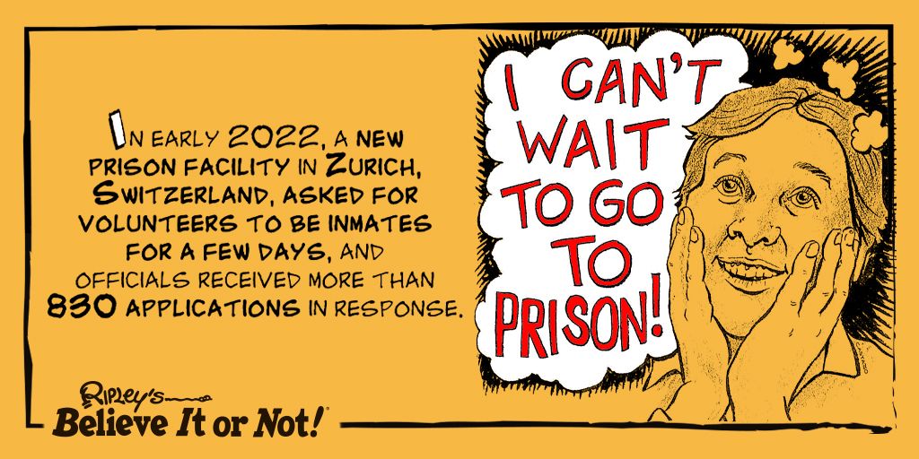 Strip searches are not mandatory! Learn more about how #Switzerland plans to pull off this immersive experience ➡️ bit.ly/3Ib4Owk