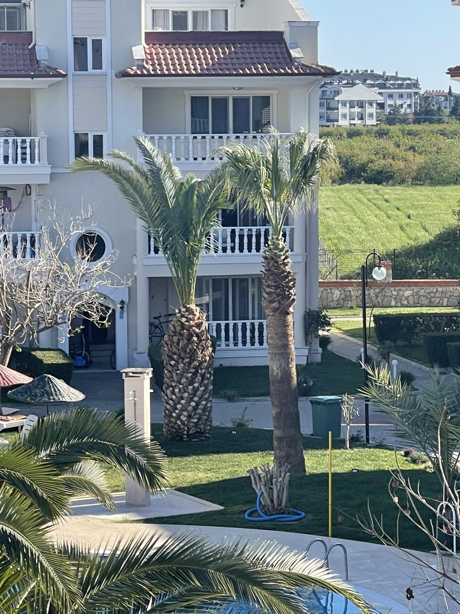 RSSWFC's tweet photo. Gardening day here at ours in 🇹🇷 passed the morning on! https://t.co/ZxoLLwh9Ob