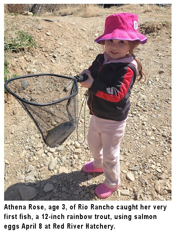 NMDGF's tweet photo. This #fishingreport, provided by Dustin Berg of Go Unlimited (supporting disabled anglers) and the @NMDGF, has been generated from the best information available from area officers and anglers. #fishnm #wildnm #nmfishingandstockingreport
https://t.co/OX1lxx5h8N https://t.co/Cy4QCyKLV6