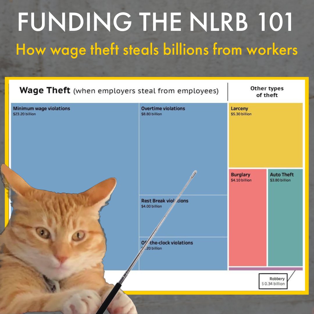 JortsTheCat's tweet photo. Wage theft is the biggest stealing crime in the USA but we aren’t fully funding the National Labor Relations Board!! The NLRB exists to protect the rights of workers when we work together on issues like wage theft. 

If we starve the NLRB, bosses can keep starving the workers 😤 https://t.co/PWVcR4konL