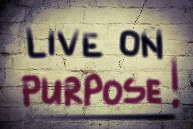 DTNEtiquette's tweet photo. My quest is the daily fulfillment of my purpose - keeps me motivated! ~ #DTN #knowurpurpose #motivatesme https://t.co/xg7B7SH7Cr