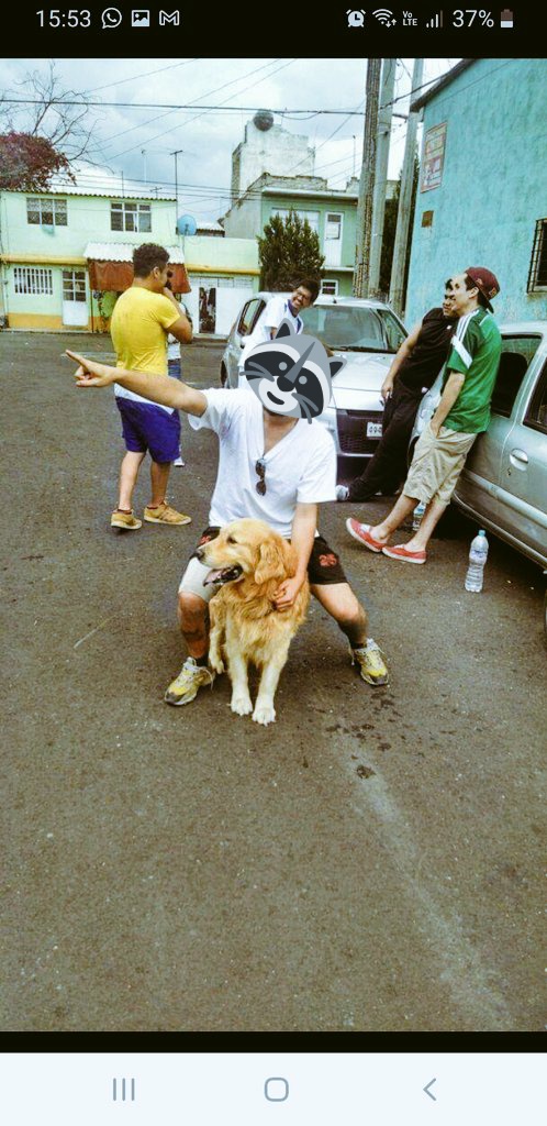 Janox_V's tweet photo. @NoesLaura Igual nos echamos una cascarita de pura nostalgia... https://t.co/SaY3bgwdV3