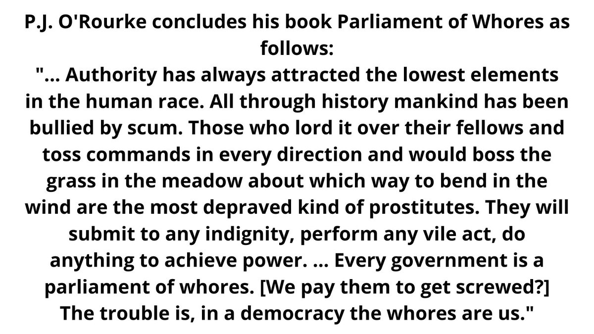 Tommy Tree tweet media