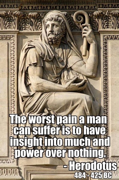 Tommy Tree tweet media