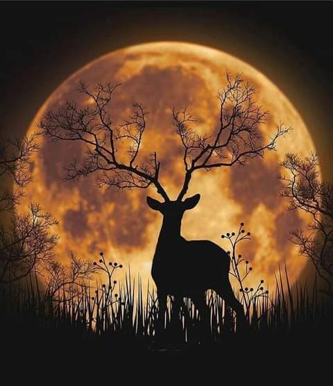 Sweet dreams .💕💗☕✨❤💜💙☕😄🙏🙏😘
ThankYou...all.👋