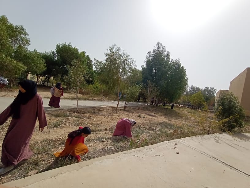 Project Clean-Green tweet media