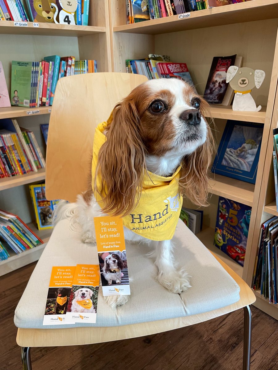 HandinPawAL's tweet photo. Hand in Paw staff pup Chester is here to show off our new Sit, Stay, Read bookmarks! These bookmarks will be given to kids as a keepsake to encourage even more reading after their visit from our Therapy Teams! πAnd no Chester, you can't eat these!
#handinpaw #sitstayread https://t.co/ntITVILofr