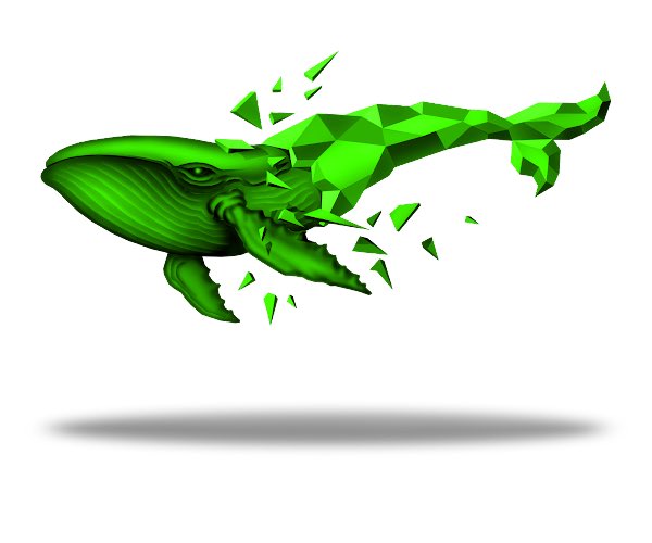 DailyNFTShare's tweet photo. 🎉 FREE #NFT GIVEAWAY #106🎉 

Giving away 4x Crypto Whale 😍

To win: 
1️⃣ Follow @DailyNFTShare &amp; @Cyber_Whales
2️⃣ Like &amp; Retweet
3️⃣ Drop your #ETH wallet address

Winners in 24 hours 🎁

#NFTCommunity #NFTCollection #nftartist #nftart  #NFTGiveaway #NFTs #NFTdrops #NFTGiveaways https://t.co/DdlVIpjpUK