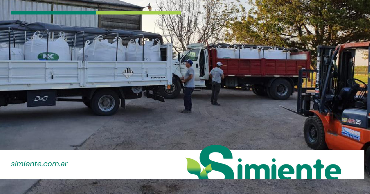 SimienteSa's tweet photo. En #Simiente contamos con una amplia variedad de vehículos para brindarte el mejor servicio 👉 Garantizamos a cada cliente el acceso y la disponibilidad de nuestros productos donde lo deseen! https://t.co/QZYPhdn1Ue