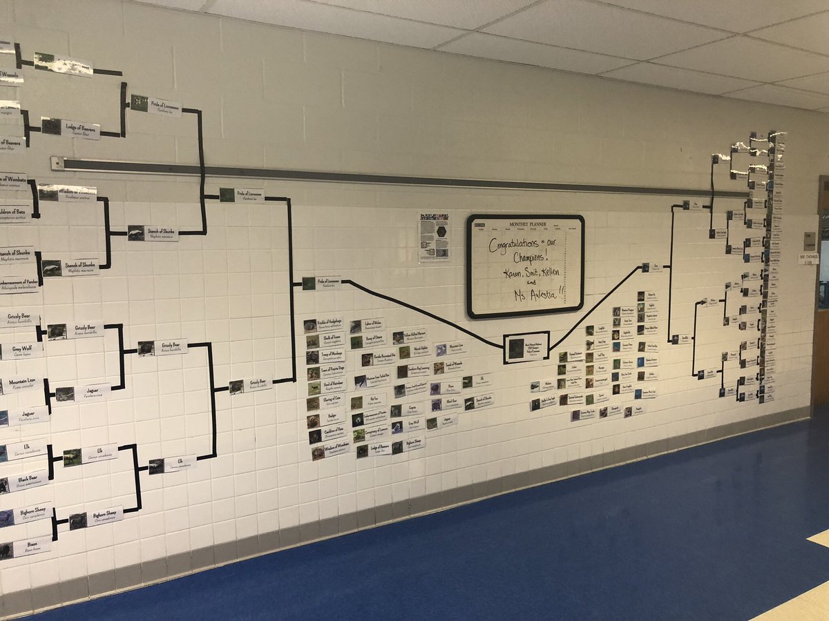 KMS Science 7 tweet media