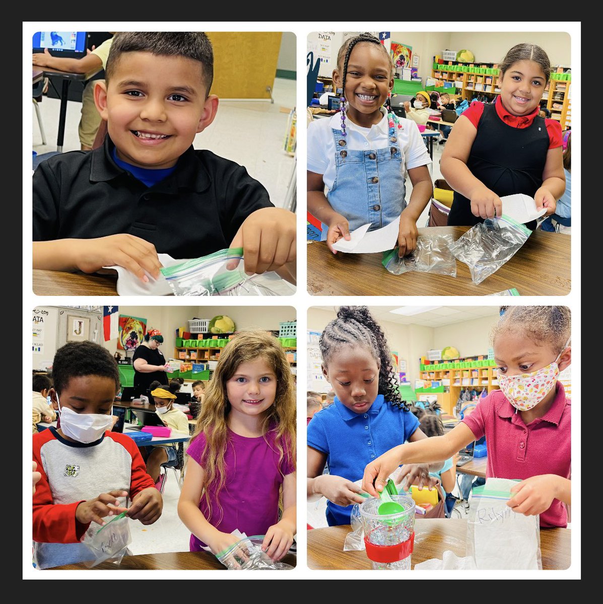 Poni3kj's tweet image. DCEKBears Science - Plant Lifecycles. We are learning about the plant lifecycle of the Lima Bean. Today we opened our Germination Station and we are excited to grow our Baby Beans. #CISDScienceRocks