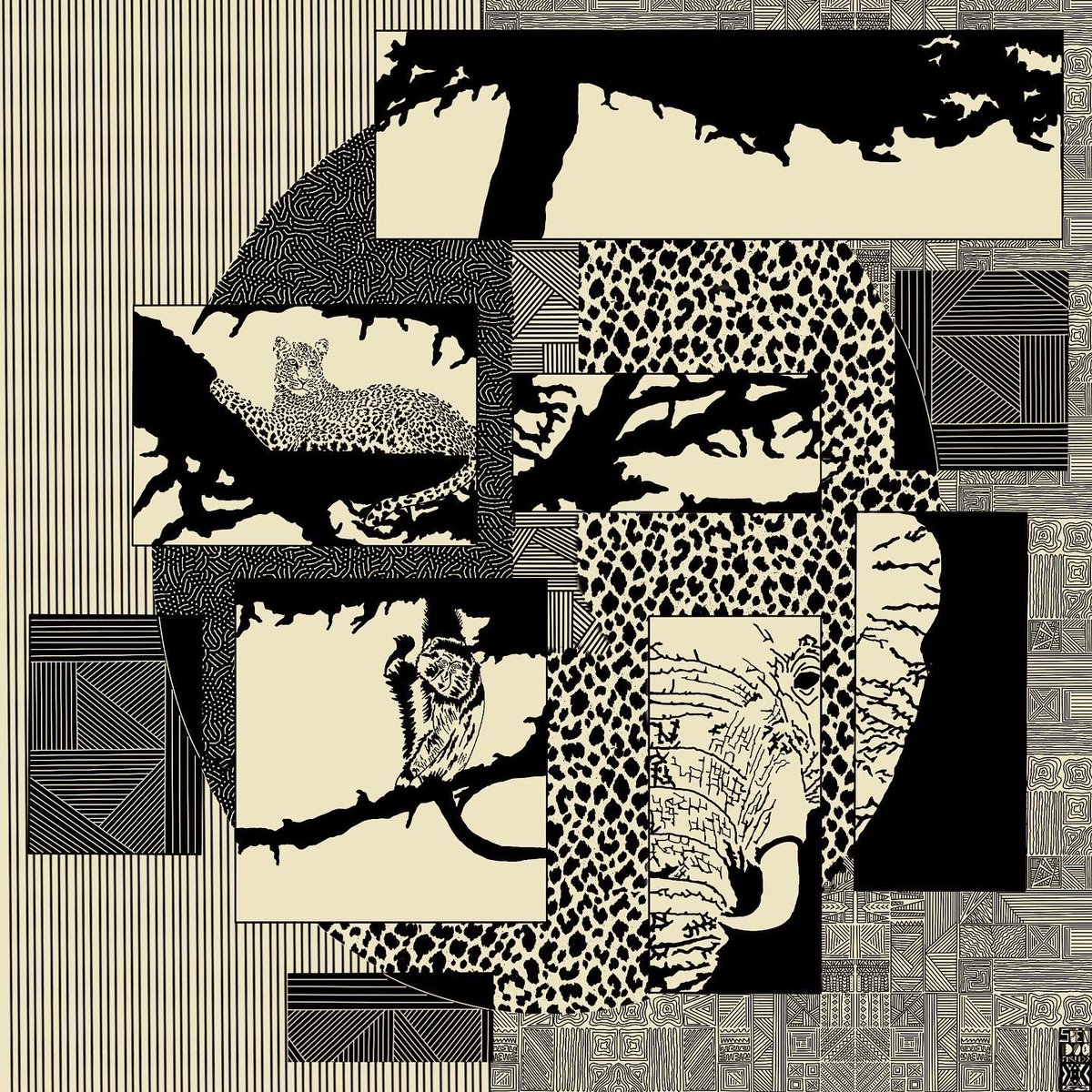 Spen Doc tweet media