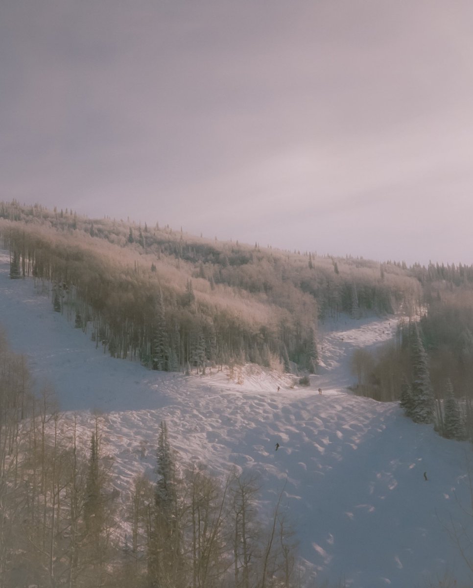 AlexKittoe's tweet photo. Winter Wonderland on Portra 400 https://t.co/T3s4DutQpw