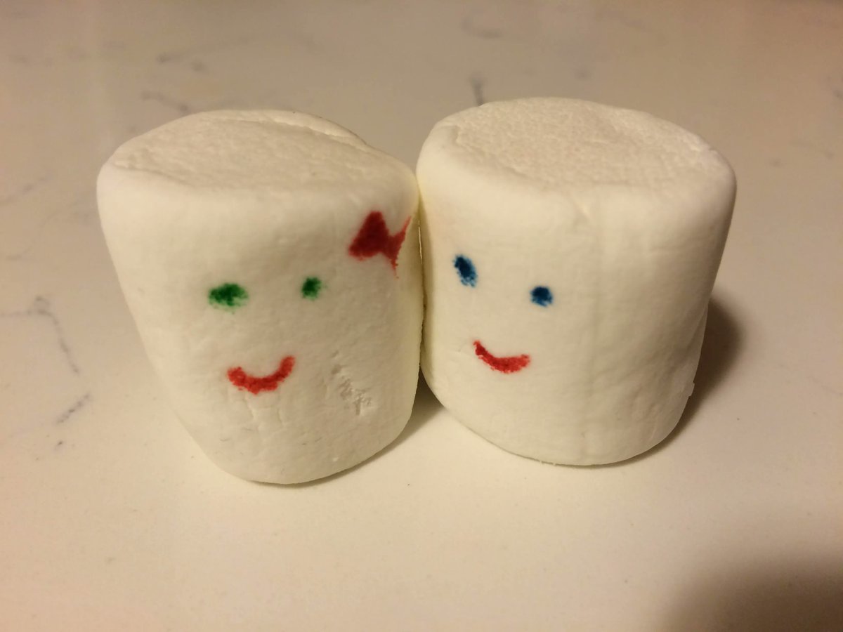 writeJJwrite's tweet image. "Chubby Bunny" will get its 18th production next month! The ridiculous play, perhaps the greatest #marshmallow #comedy every written (that almost never was) is now my most produced #play. ⛺️ 🍫 🔥 😁  buff.ly/3O5SfG3 @youthplays