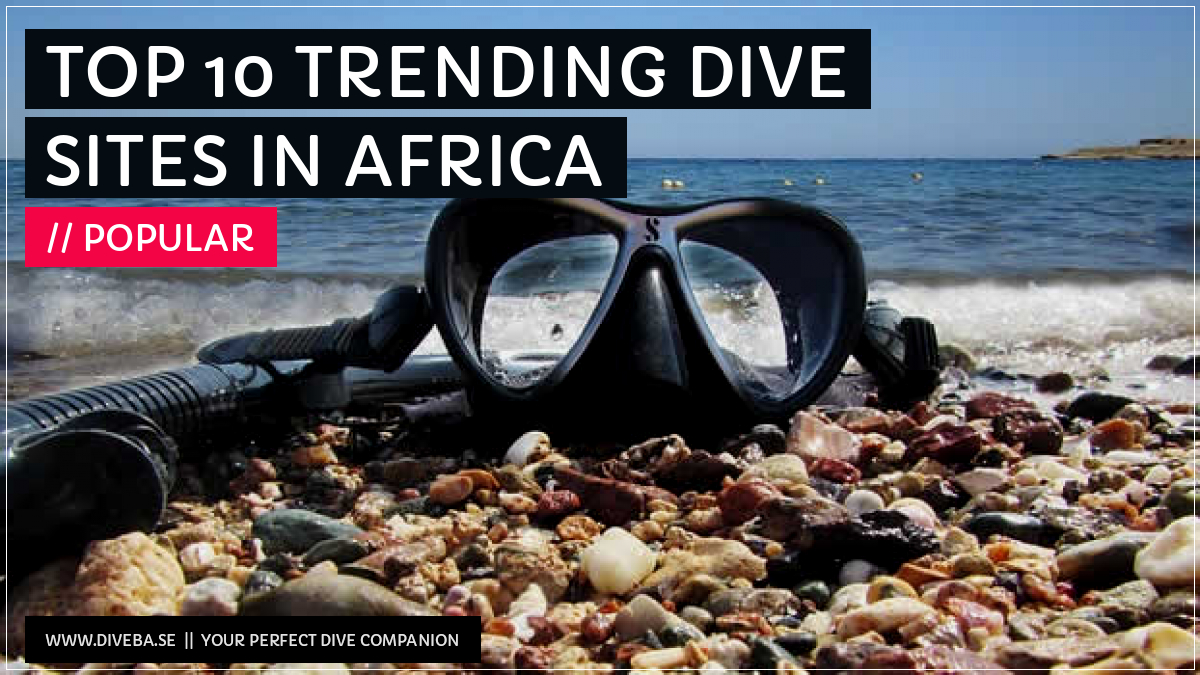 divebaseapp's tweet photo. Todays highlight:
β Top 10 trending dive sites in Africa
π² Download the #Divebase App for iOS and Android and discover great dive locations! https://t.co/g2ec46UG8D https://t.co/prpokbJuk0