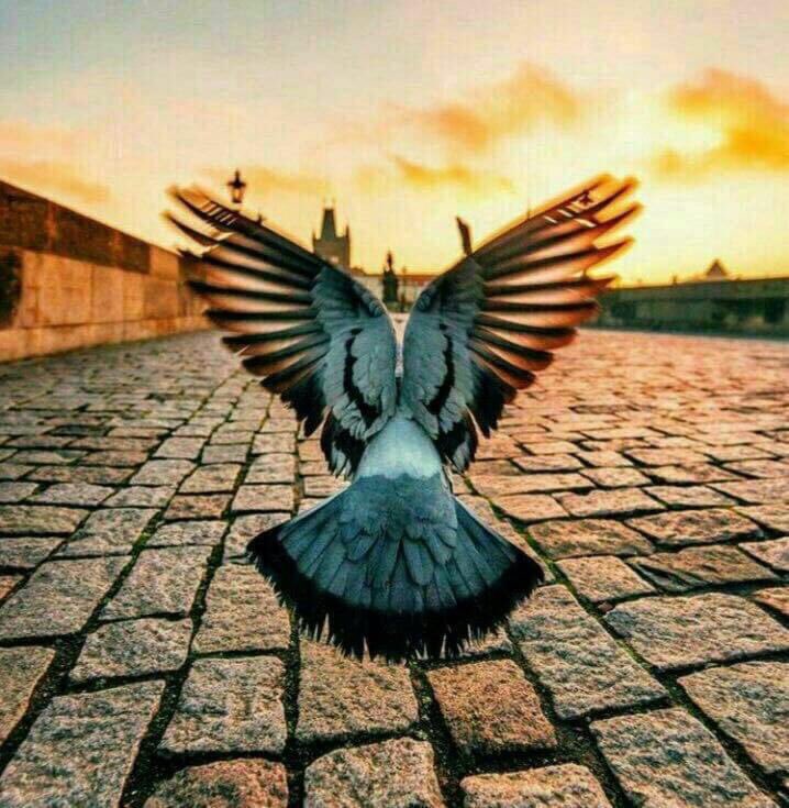 الحياه أجمل من الحزن 
واصدق من خيبة .. وأعظم من غدر 
واكبر من كذبة فقط انظر اليها بالقلب الذي يرى الله ❤️
وثق بة حتى وانت كنت مقصراً☘️