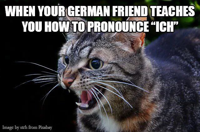 Jess Cortez (@teficortez) on Twitter photo 