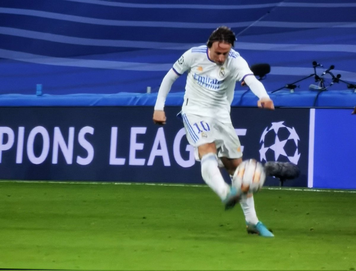 Niccolò Severini tweet media