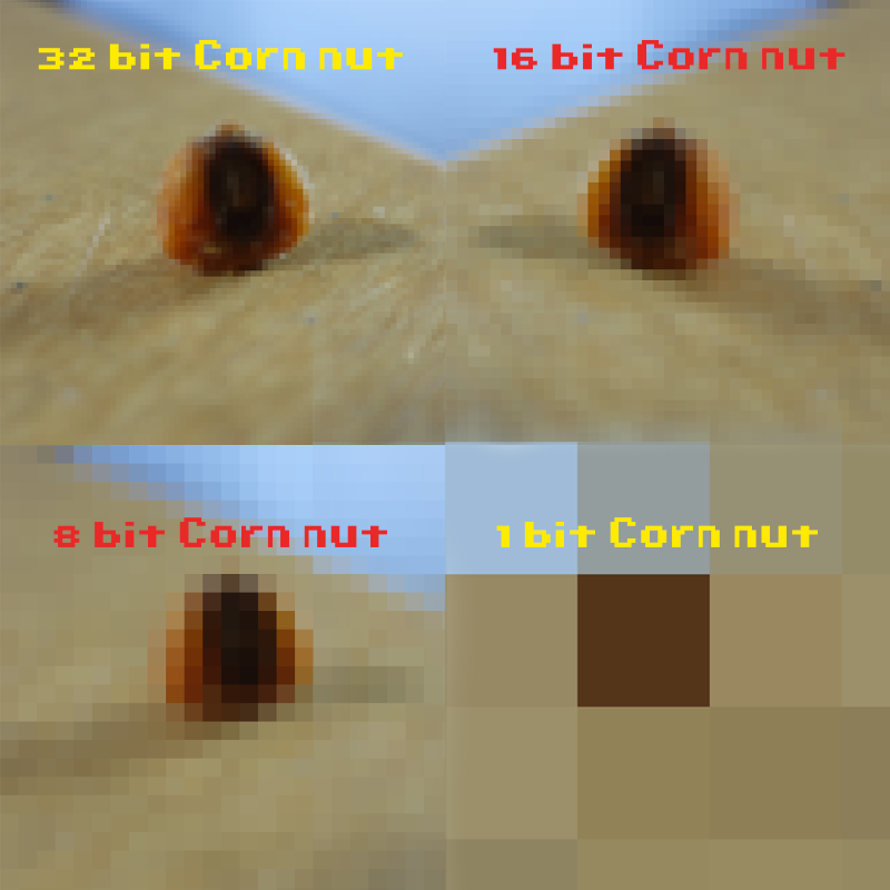 CornNuts's tweet photo. What would a 1 bit #cornnut taste like? https://t.co/Awon7lK6M9