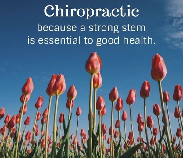 goodbackdoc's tweet photo. It may not look like spring, but we’re feeling it. Stop in for an adjustment today! 801-766-0507
#chiropracticcare #adjustment  #spring https://t.co/FGdrclxLUh