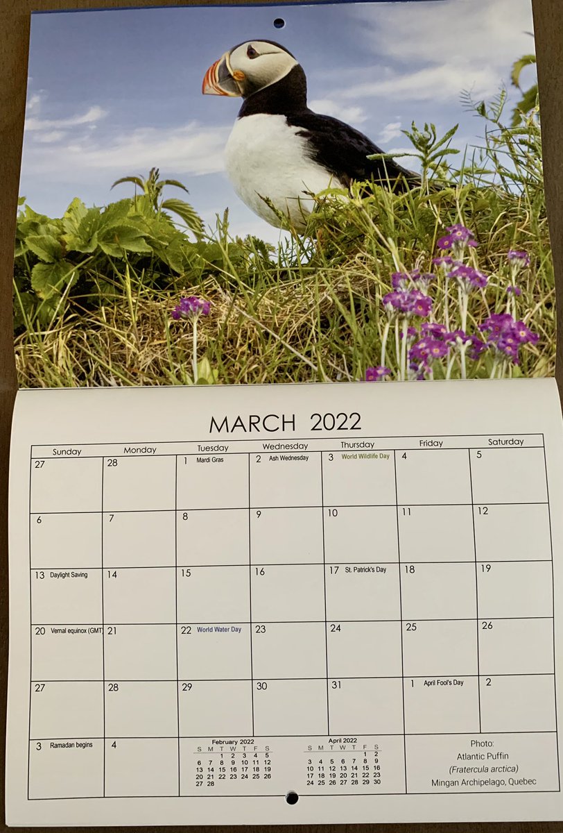 Guy_Theriault's tweet photo. When you don’t work at the office and you drop in to check your mail, you find this gorgeous 2022 calendar by @ZachBaranowski #ThankYou Zach! Awesome pics and calendar as usual 🤩 https://t.co/gwwqxyUwU8