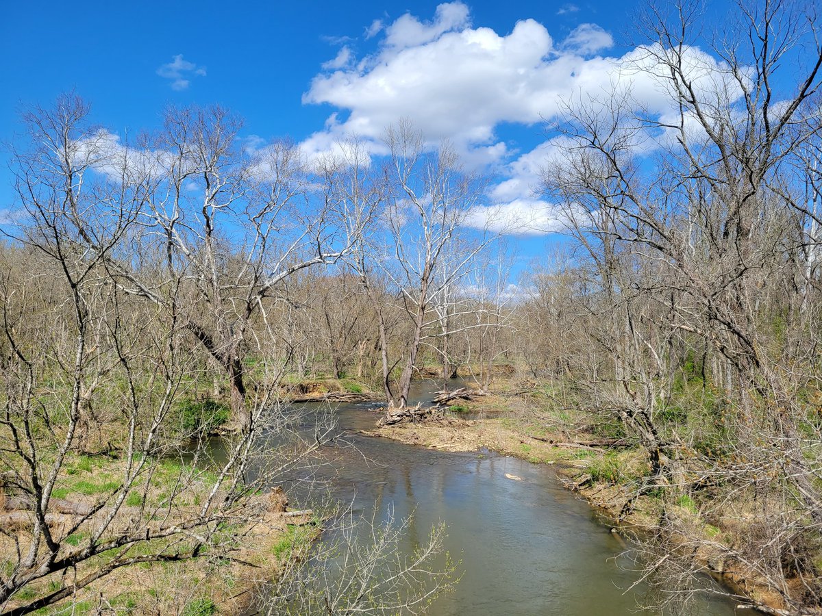 sarahkaybierle's tweet photo. Doing some field work near Upperville, Virginia today. What gorgeous spring weather!

#battlefielding #civilwarsite #findinghistory https://t.co/f0B85aSXHH