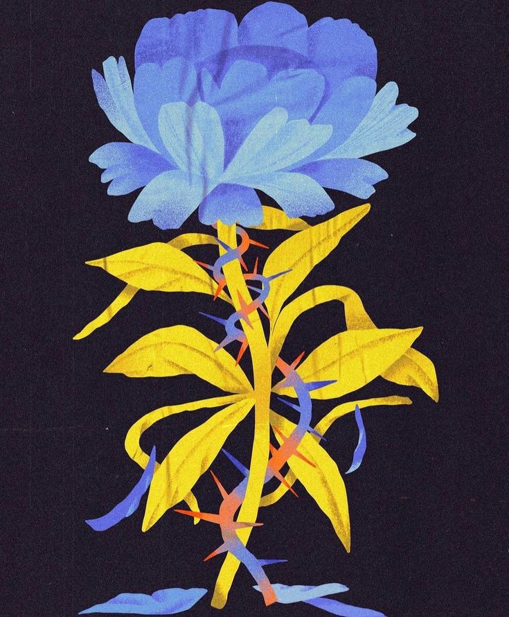 Minima OFF tweet media