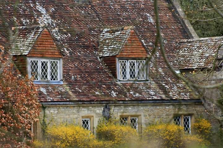 HevRob1's tweet photo. Beautiful Jobs Mill in Wiltshire. Learn a bit more about this fascinating county in https://t.co/ELfxrgGi18 which reveals ten less well-known places to visit. A guidebook disguised as a quiz.
**Paperback is on offer**
#Easterdaysout #kindle #Wiltshire https://t.co/a5CwgZBMvA
