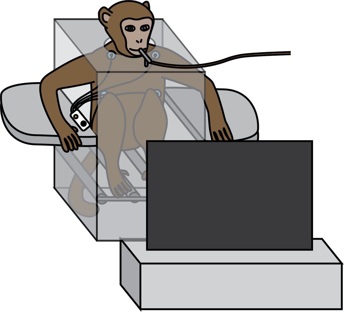 charbonneaujoey's tweet photo. I would be remiss if I did not share the original Figure 1A I crafted (left) that got us through the review process before @eblissmoreau (for obvious reasons) suggested we get it professionally illustrated (by the very talented Matthew Verdolivo @UCDavisTechNews; right) https://t.co/83vjXG6Yk1