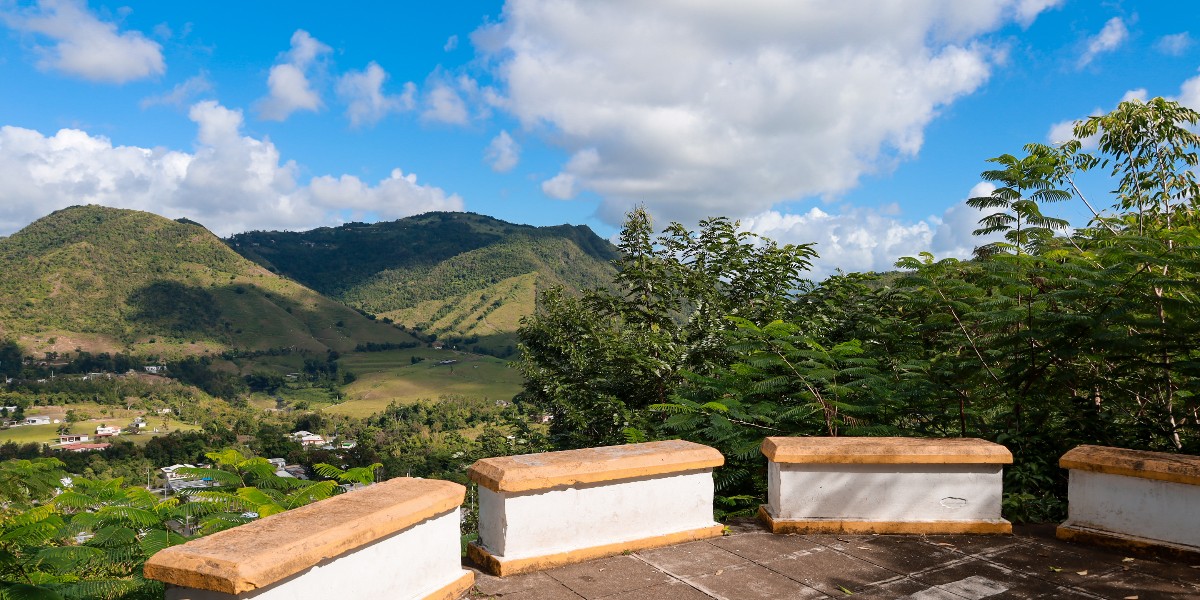 discover_PR's tweet photo. You can find beautiful “miradores” or lookout spots across our Island where you can witness some of the best mountain views 🇵🇷 has to offer. Check out these examples & let us know if you’ve ever been to one of them.✅ #ItsTimeToBook #DiscoverPuertoRico https://t.co/GaKqH0tihj https://t.co/E6yLz5IE3c