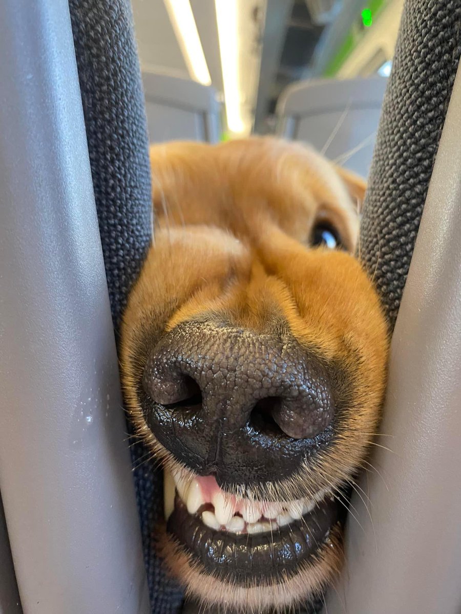 Timeline Cleanser (@cleansertl) on Twitter photo 