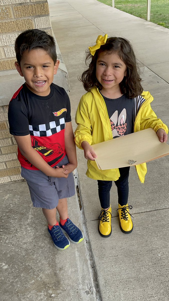 Ms_NietoPre_K's tweet photo. Our first butterfly emerged from its cocoon. Time to let it spread its wings and fly! #castleberryisd #joyjames https://t.co/1FPRpTgpv3