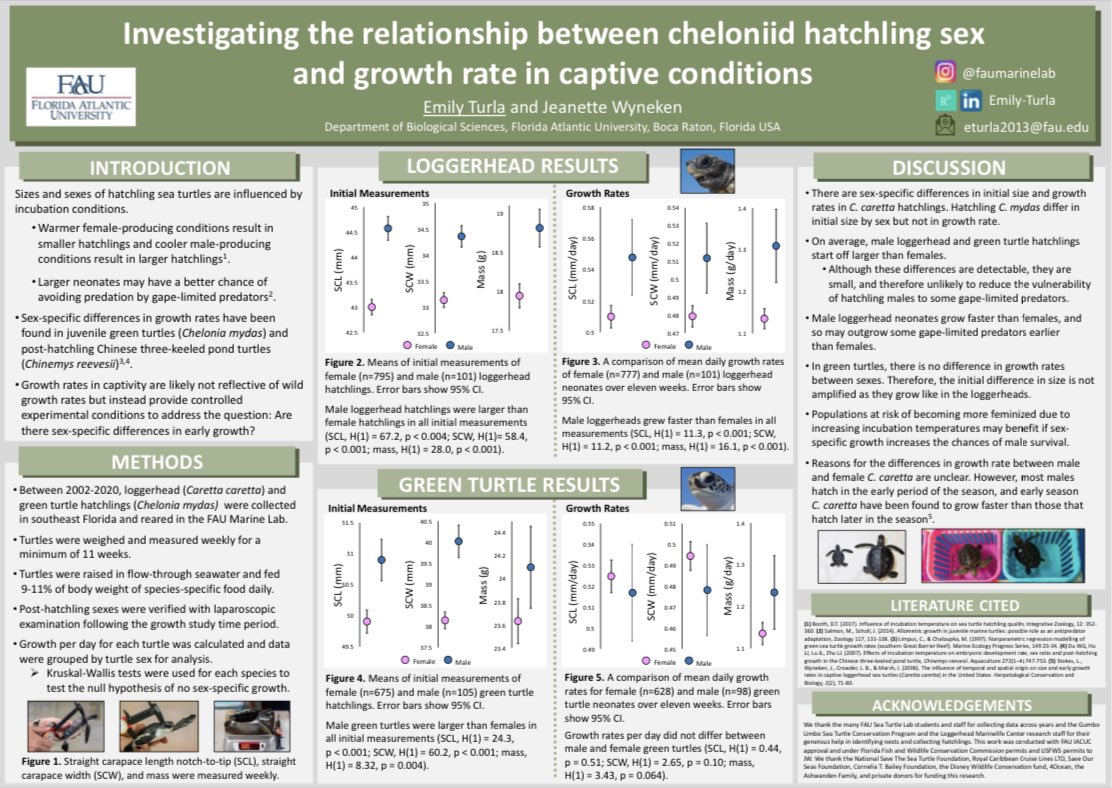 so excited to share that my poster won runner up for best student poster at #ISTS40!!! this was my first poster ever, so i’m extra proud of myself. this study compared growth rates of male and female #seaturtle hatchlings 🐢💙💗
