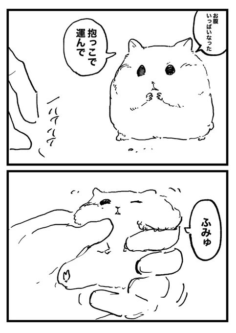 ハム助の日常 