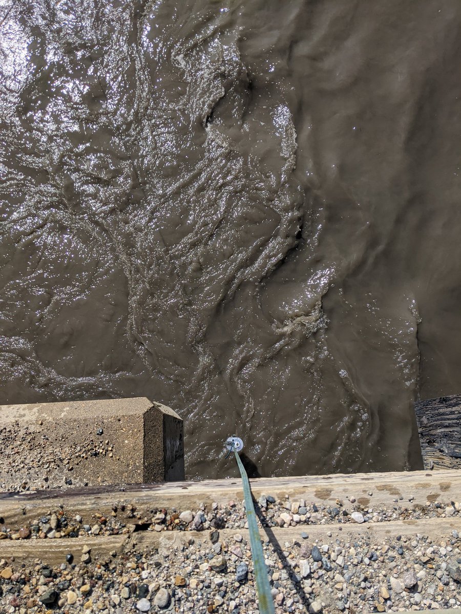 HudsonBayWQMS's tweet photo. The waters up, and so is the #Turbidity at our #PembinaRiver at Windygates site. Can you spot the unfiltered bottle? 🤔
🌷 #springfreshet https://t.co/2j3OawsN2F