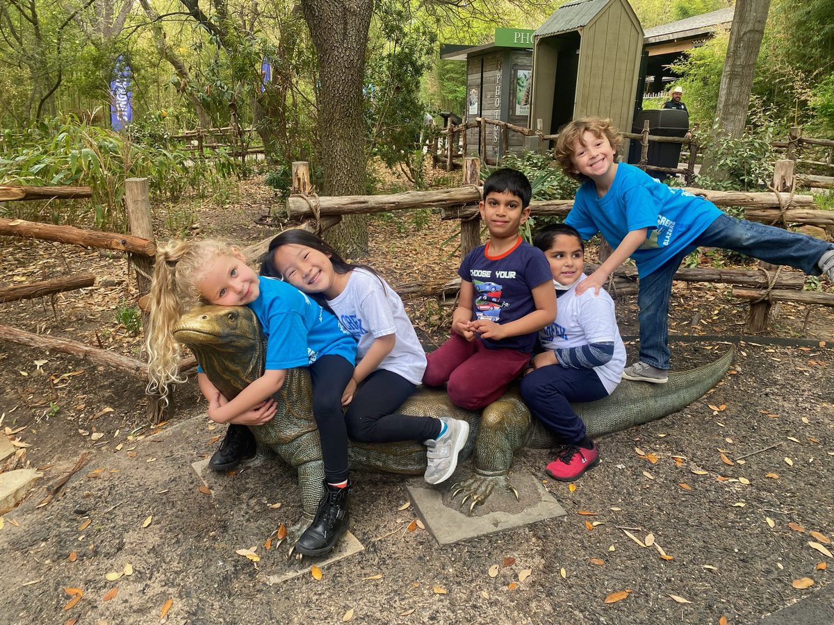 parsonskinder's tweet photo. What an amazing trip to the zoo today! So happy these kiddos got to experience their first field trip at this happy place. They loved getting to see all of the animals we have been learning about in our habitat unit🤗🦒🐊🐘 @DCEtrailblazers https://t.co/dljwArYTMy