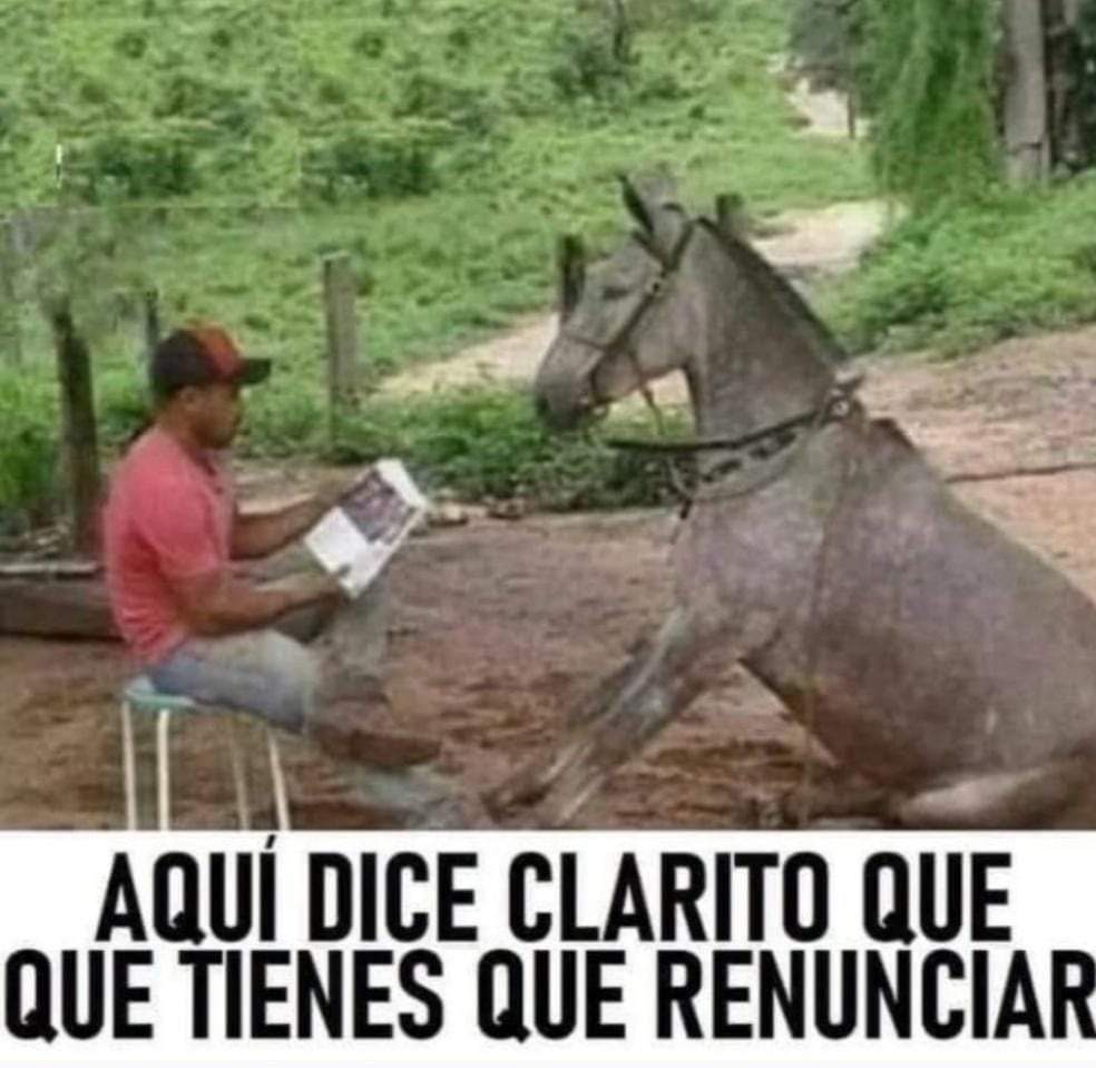 ynnad2022's tweet photo. #Donofrio  y a todo esto....DONDE MIERDA ESTÁ  EL ASNO CASTILLO ??  @PedroCastilloTe , no creo que tenga LA CONCHA de irse de vacaciones ? https://t.co/Z0PPkI4R3K