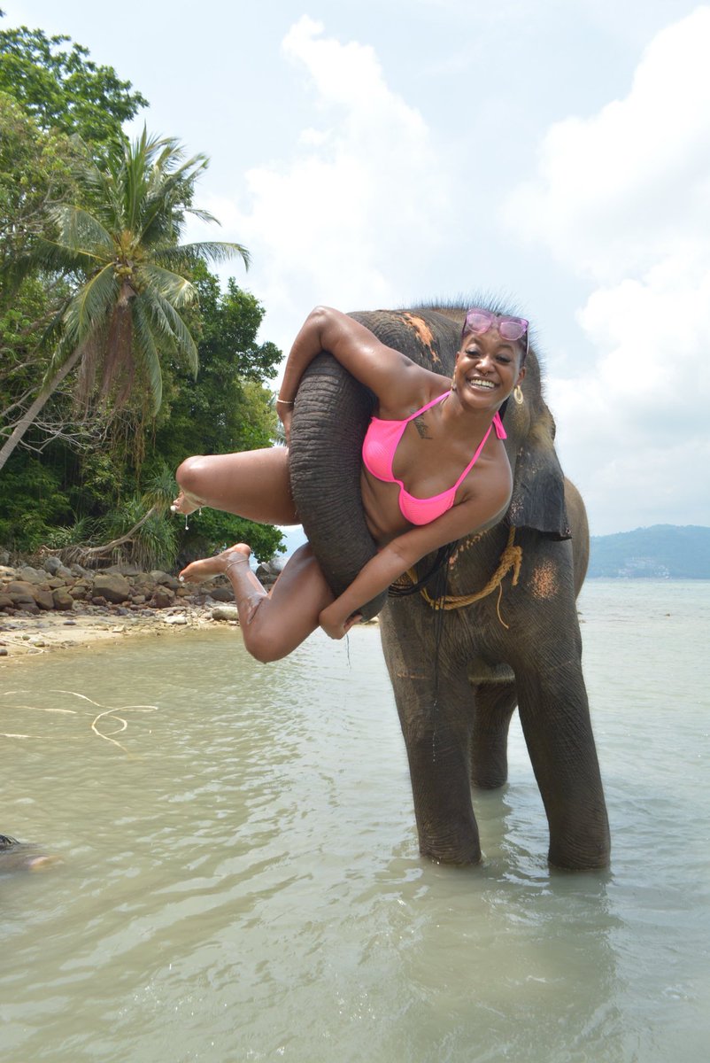 LookAtRay_'s tweet photo. I’m so in love.🥲💖🐘 https://t.co/5UGgyATbv5