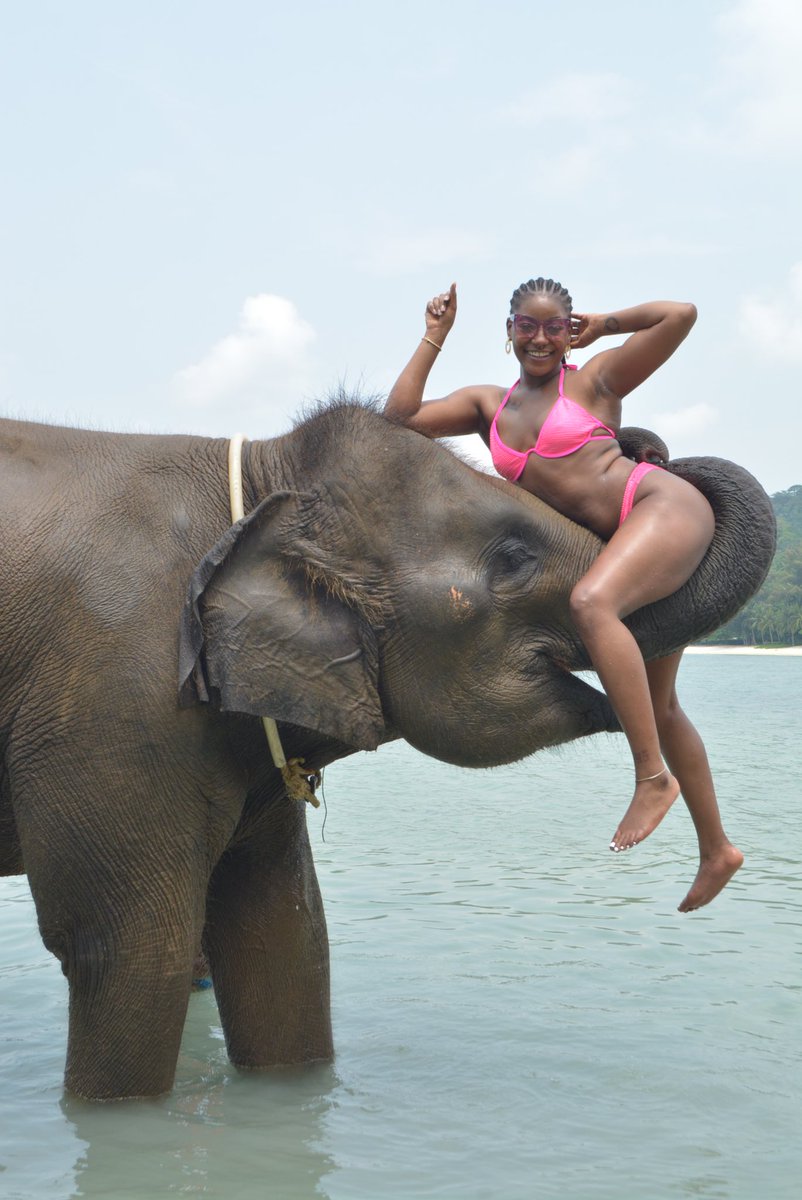 LookAtRay_'s tweet photo. I’m so in love.🥲💖🐘 https://t.co/5UGgyATbv5
