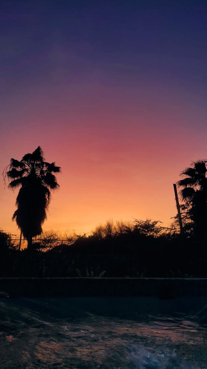 IsabelOviol's tweet image. Falcón es el mejor estado, tengo pruebas y cero dudas💙