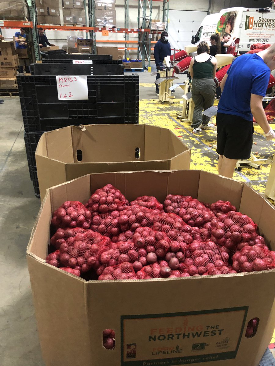 CHS_JROTC's tweet photo. Second Harvest packing 6,000 lbs of produce and 90 family meals. https://t.co/a99p3QTcuL