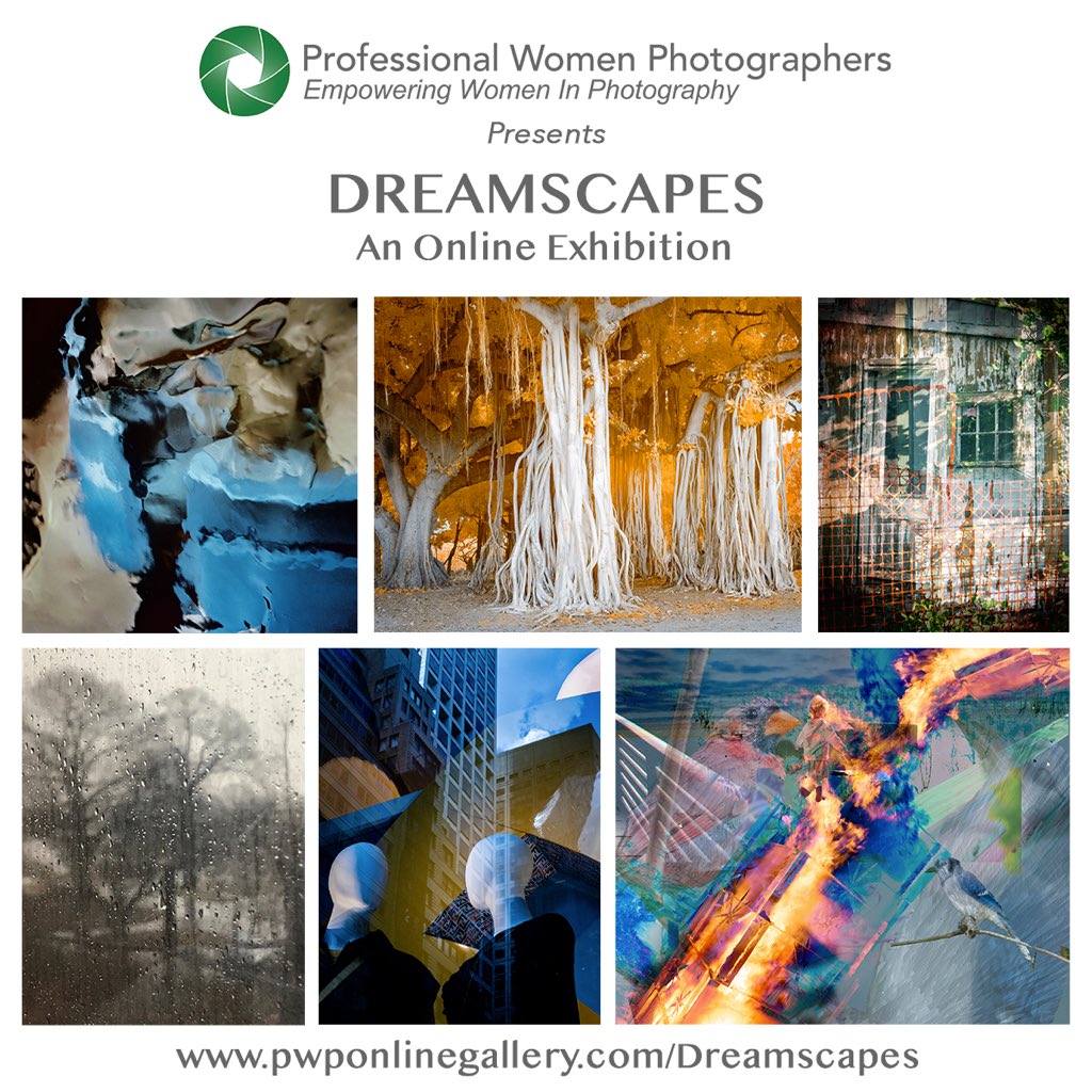 Professional Women Photographers tweet media