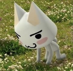 Chhuuyaa's tweet photo. this little cat> my existence https://t.co/xpgykyImOO