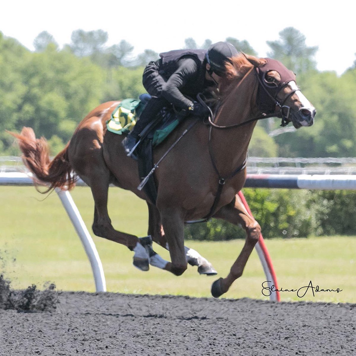 EisamanEquine's tweet photo. Hip 511, filly by Free Drop Billy, went 10.1-21.1-34.1. She’s out of a stakes winning Desert Party mare. Another great prospect for your racing stable. Come see her at barn 7!

https://t.co/VvVFgXGd9I

@spendthriftfarm @obssales #thoroughbreds #thoroughbredsales #freedropbilly https://t.co/nujk2t1Y5K