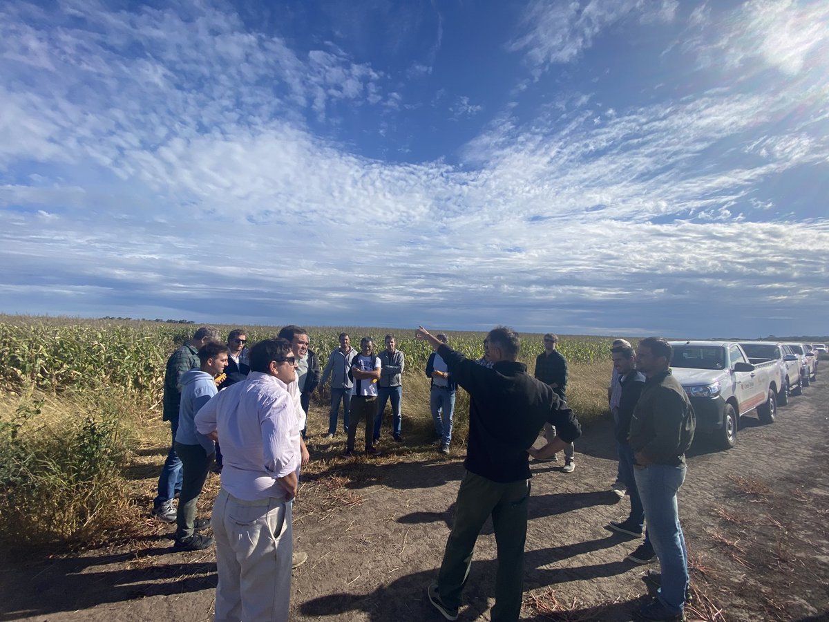 llulisalg's tweet photo. Hoy📍#Chascomus en ensayo de Maíz 🌽 de la Regional #aapresid #CuencaDelSalado 
Una regional bastante nueva q viene con mucho empuje y va a dar q hablar 

Presentamos tres bombas 
⭐️DK72-08 ⭐️DK72-72 ⭐️DK72-20

@aapresid sigue creciendo! 
#JuntosSabemosMas
@DekalbArgentina https://t.co/0vOsVOh3Jt
