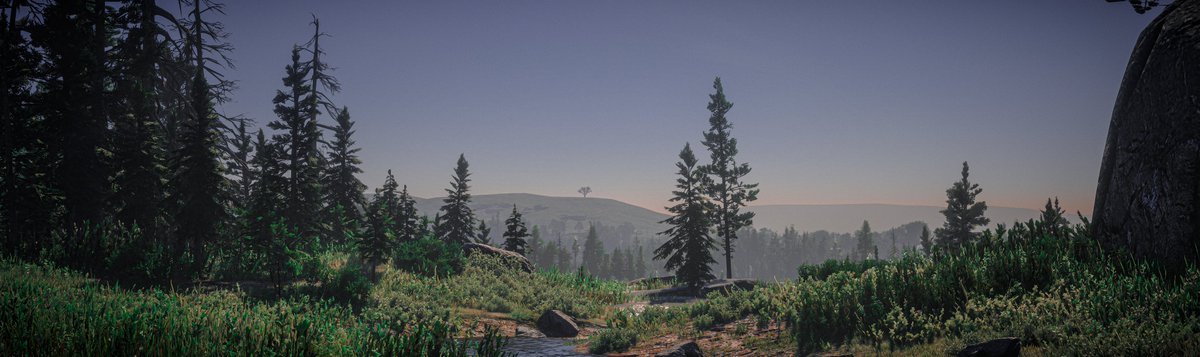 WorldviewVP's tweet photo. 🏜️🌎🌄
-
#RedDeadRedemption2 #RDR2 #VirtualPhotography https://t.co/5Wzw94g41k