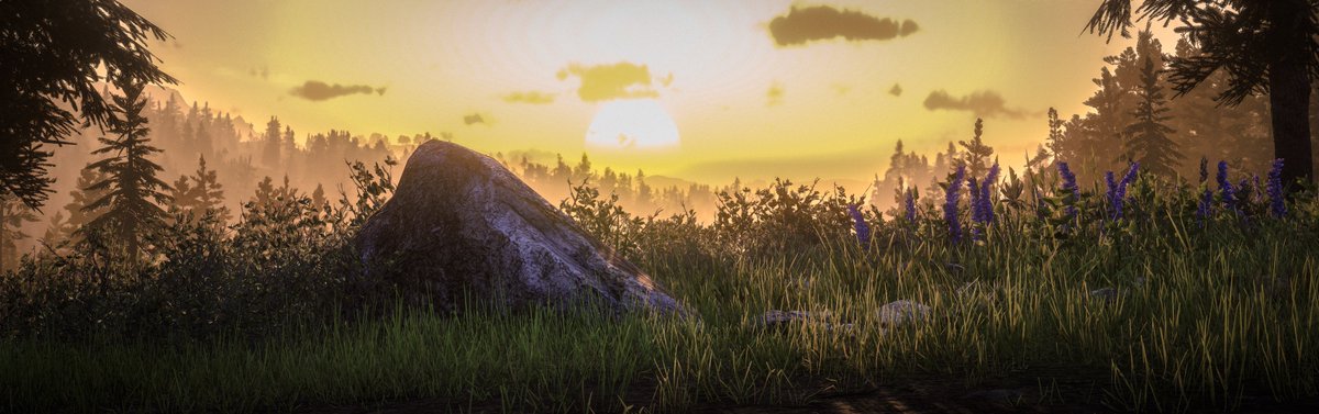 WorldviewVP's tweet photo. 🏜️🌎🌄
-
#RedDeadRedemption2 #RDR2 #VirtualPhotography https://t.co/5Wzw94g41k