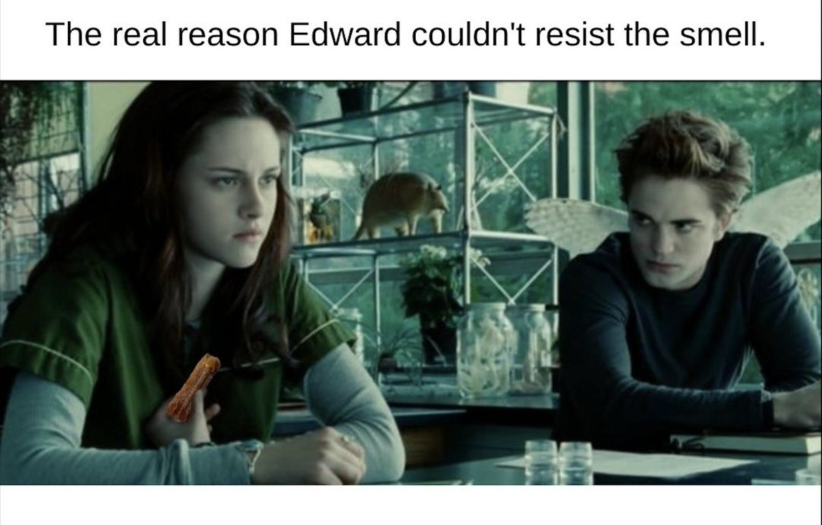 Twilight exposed. It was just the churros. #Churros #sandaiblochurros #twilight #teamedward #twilightmeme