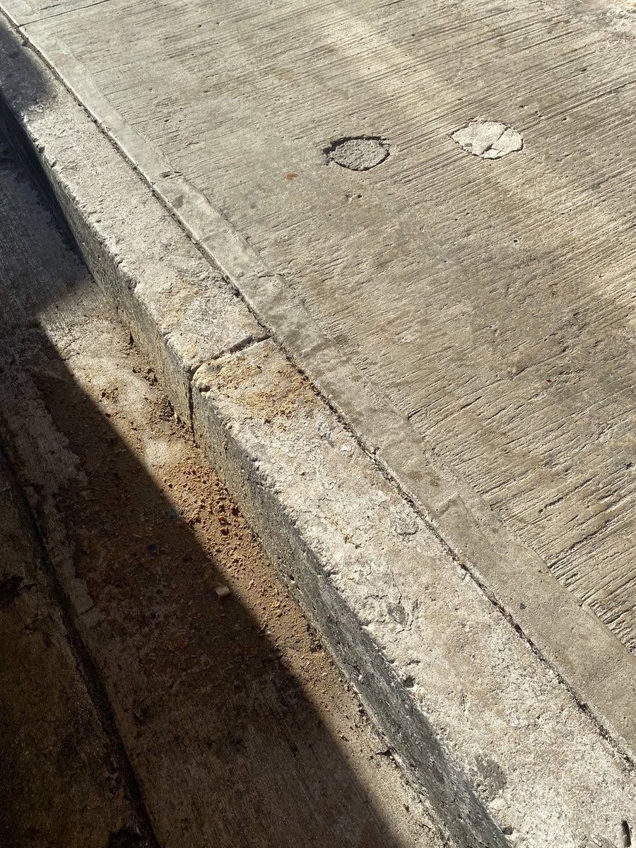 chparatodos's tweet photo. EL RUIDO EXCESIVO, LA BASURA Y LA INSEGURIDAD en el CENTRO HISTÓRICO, son grandes problemas generados por la oferta y la demanda (EMPRESARIOS Y CIUDADANOS) y no controlado (AUTORIDADES COMPETENTES).
#patrimonioenriesgo
#sinruidosinexcesos
#uncentrohistoricoparatodos https://t.co/IczK6e6EXw